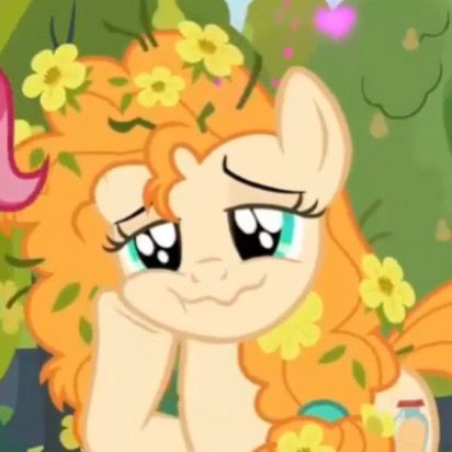 Pear Butter Mlp, Butter Aesthetic, Twinkle Sprinkle, Mlp Pfps, Lyra Heartstrings, Pear Butter, X Aesthetic, Digital Decorations, Mlp Friendship Is Magic