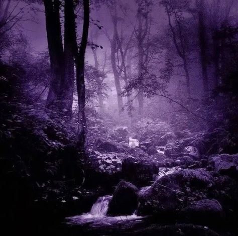 Widget Purple Aesthetic, Whimsigoth Widgets, Shadowy Aesthetic, Purple Goth, Purple Gothic, Dark Purple Wallpaper, Lavender Aesthetic, Just Live, Dark Purple Aesthetic