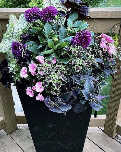 Winter Containers Planters, Outdoor Flower Pot Ideas, Porch Planter Ideas, Patio Flower Pots, Planter Arrangements, Summer Planter, Patio Flowers, Porch Flowers, Porch Planters