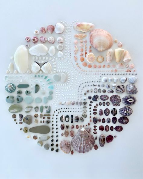 geometric abstract natural seashell collage.  seashells and pebbles from Panama, mostly Pacific and some carribean Diy With Shells, Themed Bedroom Ideas, Mix Media Art, Seashell Display, Seashell Art Diy, Shell Display, Beach Themed Bedroom, Art Coquillage, Seashell Wall Art