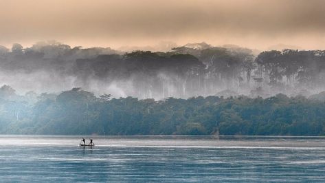 So, there’s a lot of you who’ve been around the block out there. You’ve seen the Machu Picchus, the Annapurnas, the Kilimanjaros of this world. Congo River, Morning Fog, Luxor Egypt, Democratic Republic Of The Congo, Africa Do Sul, Dr Congo, African Countries, Republic Of The Congo, Africa Travel