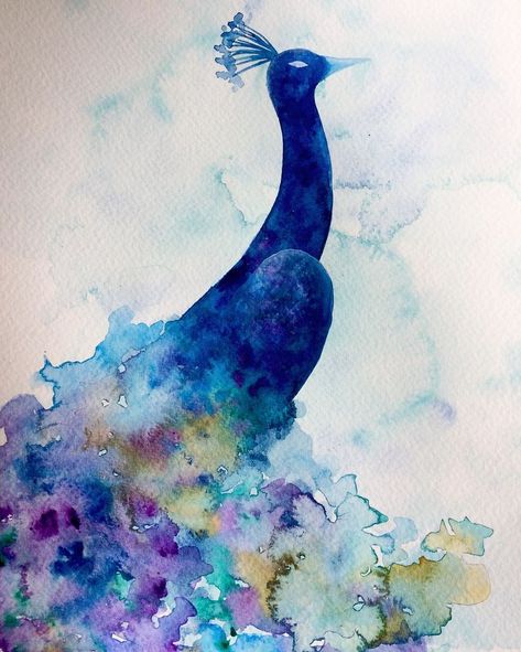 Peacock Watercolor, Painting Peacock, Watercolor Peacock, Painting On Canvas For Beginners, Bird Watercolor Paintings, Canvas For Beginners, Start Painting, Peacock Painting, Watercolour Inspiration