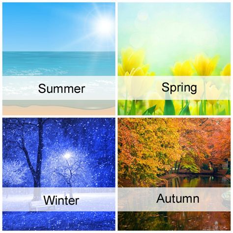 4 Weather Season, Colorbreeze System, Pantone Illustration, Season Colour Palette, 4 Seasons Art, Color Emotions, Toned Spring, Year Aesthetic, Teaching Vocabulary