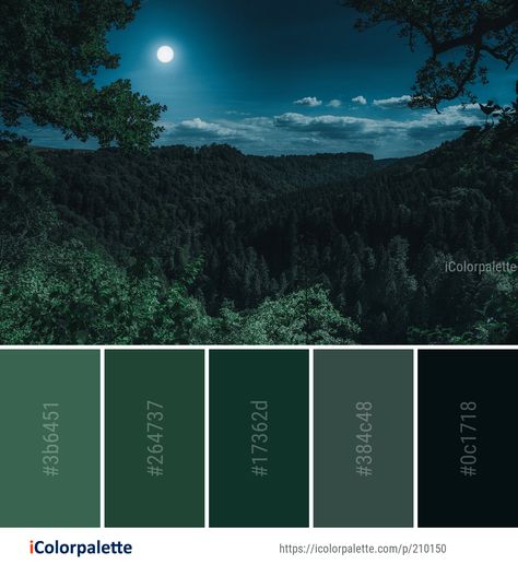 Color Palette ideas from 3368 Nature Images | iColorpalette Smokey Color Palette, Night Forest Color Palette, Oregon Color Palette, Enchanted Forest Color Palette, Color Palette Illustration, Blue Green Color Palette, Forest Color Palette, Palette Illustration, Color Palette Ideas