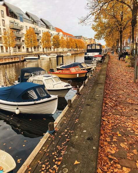 Autumn In Denmark, Autumn In Copenhagen, Denmark Autumn, Copenhagen Autumn, Scandinavian Autumn, Denmark Summer, Denmark Aesthetic, Isak Dinesen, Copenhagen Aesthetic