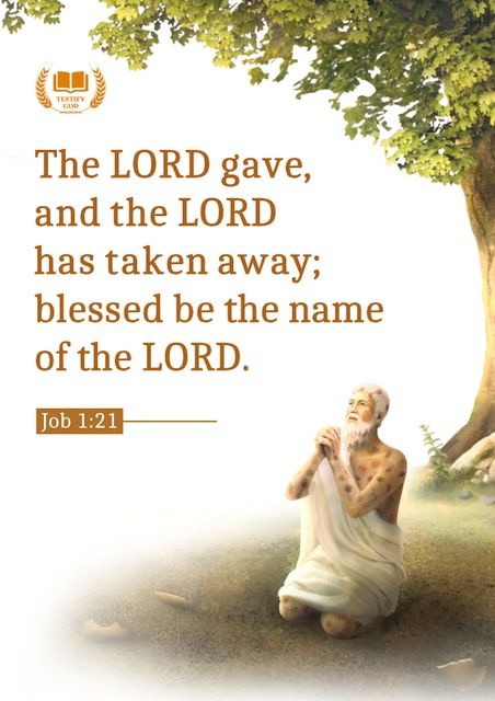 "The LORD gave, and the LORD has taken away; blessed be the name of the LORD" (Job 1:21). Blessed Be The Name Of The Lord, Job Verses Bible, Job Bible Quotes, Job Bible Verse, Job In The Bible, Joshua Verses, Yeshua Quotes, Job Bible Study, Job 1 21