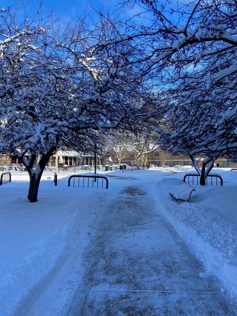 sunny winter day on campus at grand valley state university Sunny Winter Day, Grand Valley State University, Sunny Winter, College Campus, Winter Day, State University, Sunnies, University, Nature