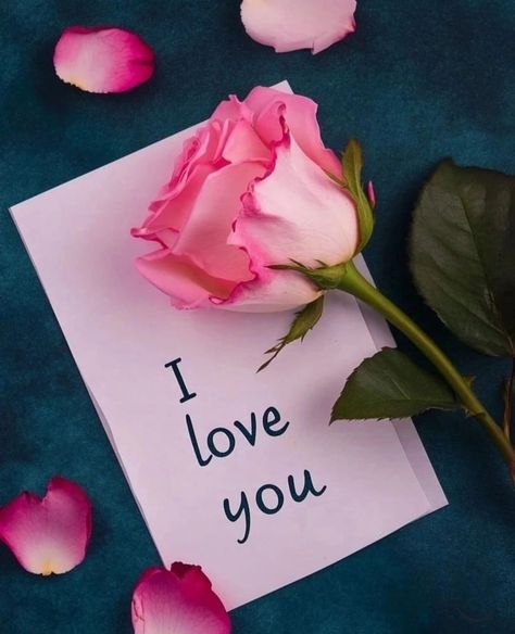 L Love You Images, Iphone Wallpaper Fashion, Liverpool Badge, Book Cover Art Ideas, Flower Photos Art, Sweet Good Night Messages, Beautiful Flower Quotes, Romantic Images With Quotes, Romantic Quotes For Her