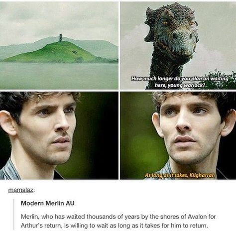 I'll just go cry in a corner now Modern Merlin, Merlin Memes, Merlin Funny, Merlin Colin Morgan, Merlin Fandom, Arthurian Legend, Merlin And Arthur, Bradley James, Colin Morgan