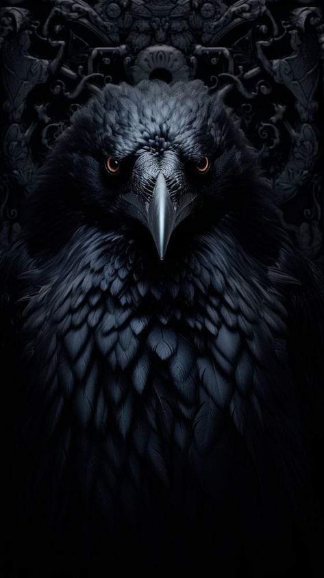 The Crow Aesthetic, Wallpaper Phone Black, Owl Video, Crow Spirit Animal, Crow Pictures, Rabe Tattoo, Crow Movie, Birds Photography Nature, Black Crows