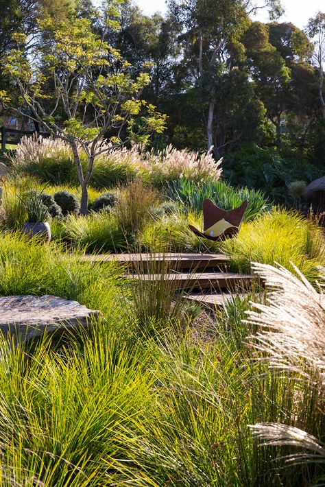 Modern Garden Landscaping, Australian Garden Design, Australian Native Garden, Backyard Landscaping Plans, Hillside Landscaping, Garden On A Hill, Sloped Garden, Australian Garden, Modern Landscape Design