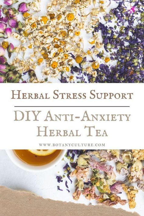 Herbal Tea Recipes Homemade, Herbal Tea Recipes, Calming Herbs, Tea Blends Recipes, Herbal Tea Garden, Lemon Balm Tea, Herbal Tea Benefits, Lavender And Chamomile, Medicinal Tea