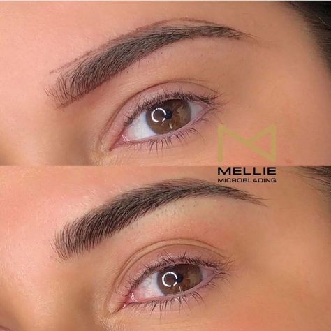 Ombre Powder Brows, Mircoblading Eyebrows, Eyebrows Goals, Ombre Eyebrows, Eyebrows Microblading, Dry Natural Hair, Powder Brows, Tweezing Eyebrows, Eyebrow Design