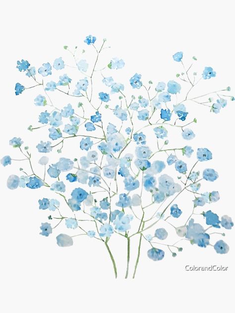 "light blue Baby Breath Bouquet gypsophila watercolor painting " Sticker by ColorandColor | Redbubble Painting Blue Background, White Blue Flowers, Blue Water Painting, White And Blue Painting, Light Blue And White Flowers, Baby Blue Flowers Wallpaper, Blue Watercolor Art, Blue And White Flower Painting, Gypsophila Drawing