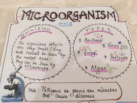 Chart On Microorganisms, Microorganisms Notes Class 8, Microorganisms Notes, Microorganisms Project, Microorganisms Microbiology, Study Diagrams, Bio Project, Esl Materials, Ela Anchor Charts