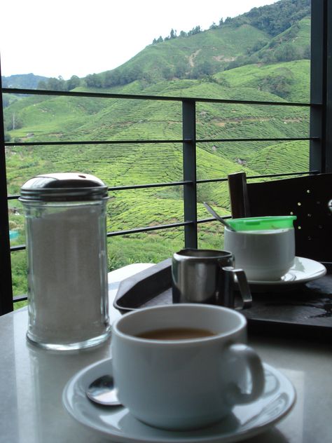 The perfect view for a relaxing sip of tea - Cameron Highlands, Malaysia Cameron Highlands Aesthetic, Genting Highland Malaysia Outfit, View Aesthetic Malaysia, Mossy Forest Cameron Highland, View Malaysia, Cameron Highlands Malaysia, Cameron Highlands, Fotografi Digital, Calligraphy Words