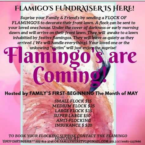 Flamingo Fundraiser, Beta Club, Pta Fundraising, Band Camp, Fundraising Ideas, Front Lawn, Friday Night Lights, Sales Strategy, Youth Group