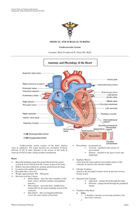 cardiovascular-nursing by Mark Fredderick Abejo via Slideshare Heart Anatomy Notes, Cardiovascular Nursing, Anatomy Notes, Cardiac Cycle, Tricuspid Valve, Cardiac Disease, Surgical Nursing, Cardiac Nursing, Heart Anatomy