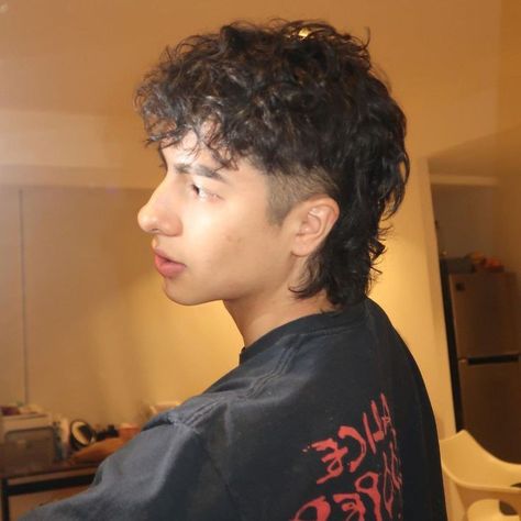 Perm Hair Men, Male Haircuts Curly, Curly Hair Fade, Short Grunge Hair, Haircut Curly Hair, Men Haircut Curly Hair, Short Hair Tomboy, Mullet Haircut, Mens Hairstyles Thick Hair