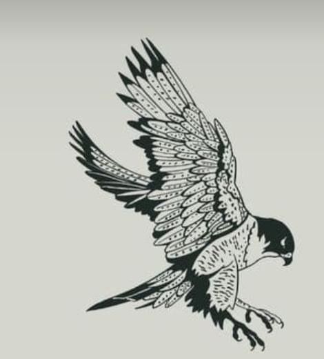 Kestrel Tattoo Black And White, Hawk Line Tattoo, Peregrine Falcon Tattoo Design, American Traditional Hawk Tattoo, White Hawk Tattoo, Redtail Hawk Tattoo, Hawk Tattoo Traditional, Falcon Tattoo Feminine, Hawk Tattoo Men