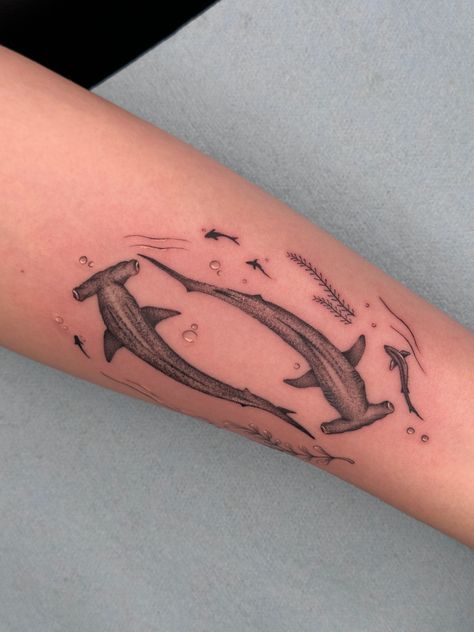 shark tattoo #sharks #sharktattoo #marinebiologytattoo #minimalisttat Swimming Shark Tattoo, Black Tip Reef Shark Tattoo, Hammer Head Tattoo, Hammer Shark Tattoo, Shark Line Tattoo, Shark Tattoo Arm, Hammer Head Shark Tattoos, Mako Shark Tattoo, Sharks Tattoo