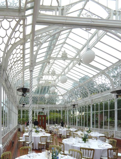 Horniman Museum, Greenhouse Conservatory, Conservatory Greenhouse, London Wedding Venues, Sun Rooms, Greenhouse Interiors, Glass Houses, London Venues, Beautiful London