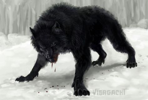 Wolves Black, Werewolves Aesthetic, Black Werewolf, Black Wolves, Lycanthrope Aesthetic, Lup Singuratic, Werewolf Aesthetic, Wolf Artwork, Wolf Wallpaper