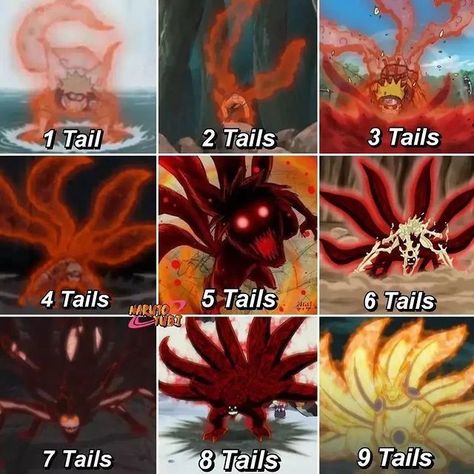 Naruto Four Tails Mode, Naruto 4 Tails Mode, Anime Abilities, Naruto 9 Tails, Demon Beast, Naruto Nine Tails, Custom Yugioh Cards, Nine Tails, Naruto Eyes