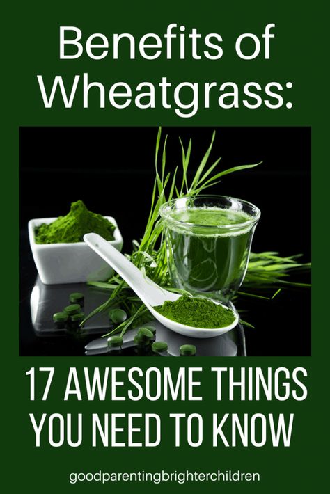 Wheatgrass Benefits, Barley Benefits, Microgreens Recipe, Growing Wheat, Wheat Grass Shots, Wheatgrass Powder, Clear Your Skin, Barley Grass, Green Juice Recipes