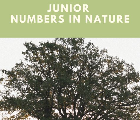 Math In Nature, Maths In Nature, Brownie Badges, Brownie Girl, Girl Scout Juniors, Area And Perimeter, Brownie Girl Scouts, Weather Activities, Phonics Worksheets