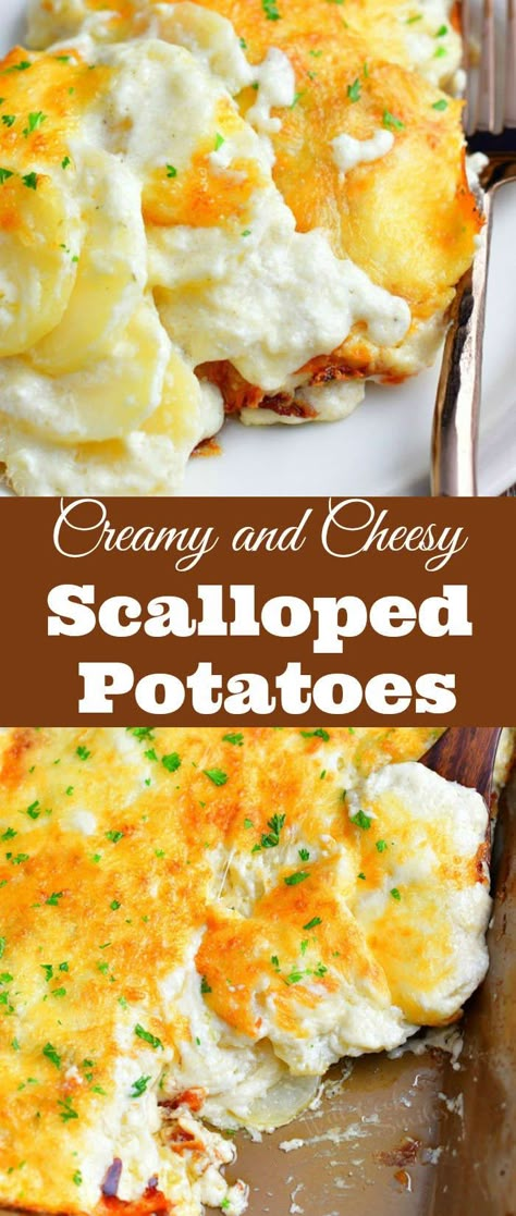 Scalloped potatoes recipe makes the ultimate comfort food. Make this recipe for creamy, cheesy, thinly sliced potatoes, baked in rich cream sauce. So creamy, so cheesy, everyone's favorite side dish for holiday dinner or any other night. #potatoes #sidedish #cheesy #creamy #scallopedpotatoes #potatocasserole #casserole Scalloped Potatoes With Cream, The Best Scalloped Potatoes, Cheesy Potato Side Dishes, Scallop Potatoes, Cheese Scalloped Potatoes, Easy Scalloped Potatoes Recipe, Best Scalloped Potatoes, Creamy Scalloped Potatoes, Cream Cheese Potatoes