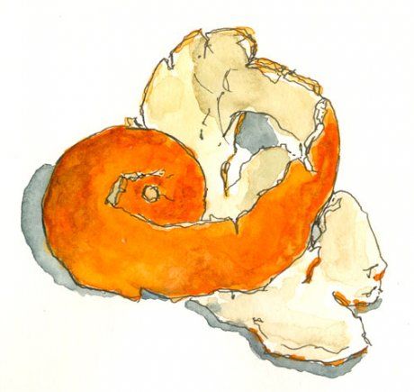 orange peel Oranges Sketch, Oranges Drawing, Orange Drawings, Orange Peel Tattoo, Sliced Orange Tattoo, Orange Peel Art, Orange Peel Drawing, Peeled Orange, Oranges Art