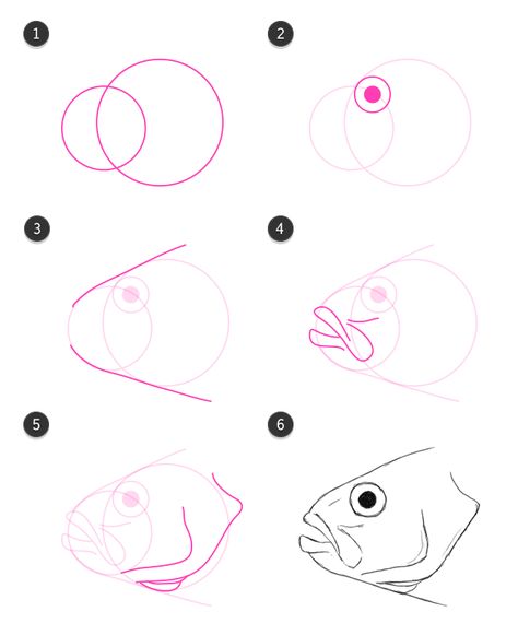 how to draw fish head Fish Head Drawing, How To Draw Fish, How To Draw Animals, Trout Art, Drawn Fish, Fish Head, Head Drawing, Draw Animals, Drawing Heads