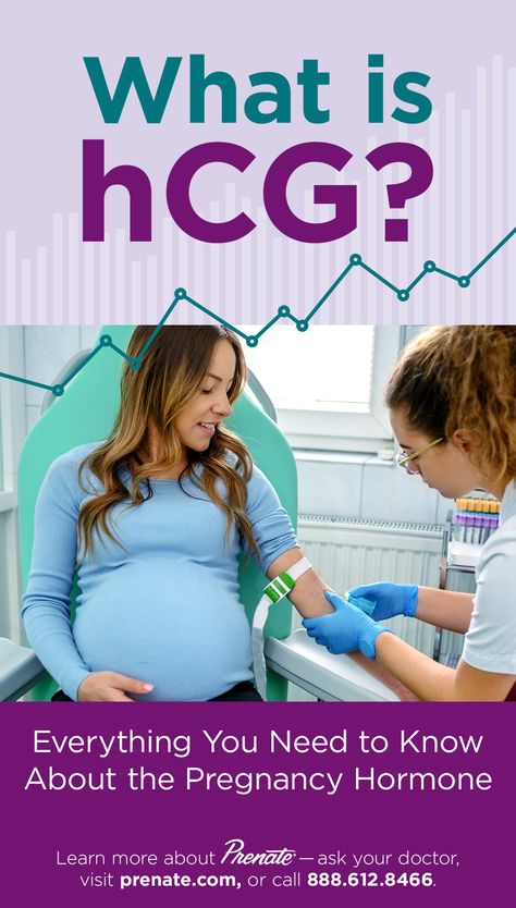 What is hCG? Everything You Need to Know About the #Pregnancy Hormone. #hormones #expecting #Prenate Hgh Hormone, Hcg Levels Chart Early Pregnancy, Pregnancy Hormones Quotes, Molar Pregnancy, Negative Pregnancy Test, Hcg Levels, Pregnancy Supplements, Blood Test Results, Very Early Pregnancy Symptoms