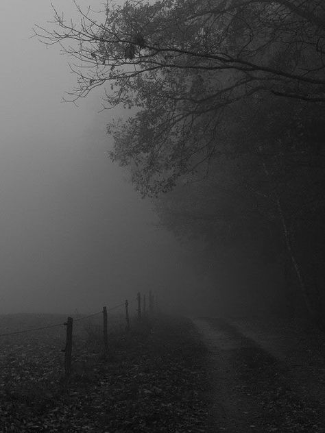 something something - Album on Imgur Foggy Road, Dark Naturalism, Photographie Portrait Inspiration, 다크 판타지, Have Inspiration, Gray Aesthetic, Gothic Aesthetic, Dark Places, Dark Photography