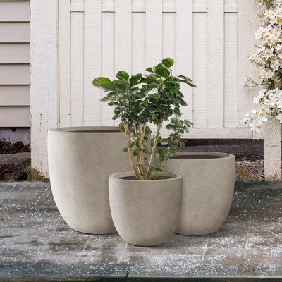 These elegant round planters have an authentic concrete finish with visible pores that make them beautiful contemporary pieces. The look and feel are true concrete but it weighs substantially less than it looks, making it easier to move around. It is smooth instead of the rough concrete potters you might be used to. The size is very generous and can hold a good amount of plants without looking crowded. Would look great on an apartment balcony or large backyard patio. Create a modern space using Round Planters, Planters Outdoor, Rectangle Planters, Modern Planter, Plant Pot Decoration, Concrete Finish, Modern Landscape Design, Cement Pots, Tall Planters