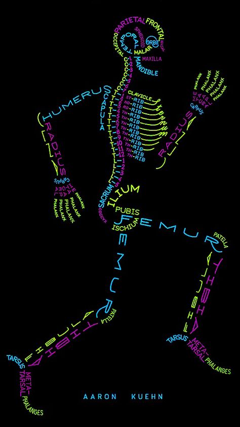 Human Physiology Wallpaper, Rad Tech Wallpaper Aesthetic, Antigen Antibody Reaction, Radiography Wallpaper, Human Anatomy Wallpaper, Neurology Wallpaper, Radiology Wallpaper, Radiologist Wallpaper, Radiology Student Wallpaper