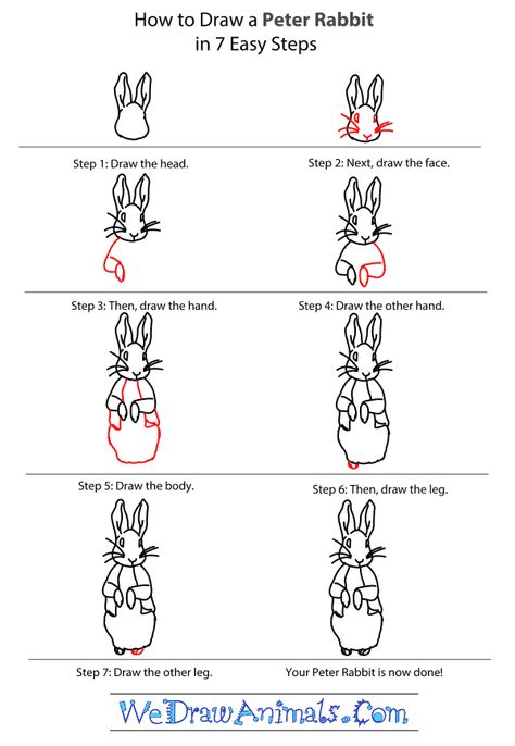 How To Draw Peter Rabbit Step By Step, Beatrix Potter Art Lessons, How To Draw Peter Rabbit, Peter Rabbit Sketch, Peter Rabbit Cartoon, Peter Rabbit Drawing Easy, Peter Rabbit Drawing, Peter Rabbit Painting, Rabbit Drawing Step By Step