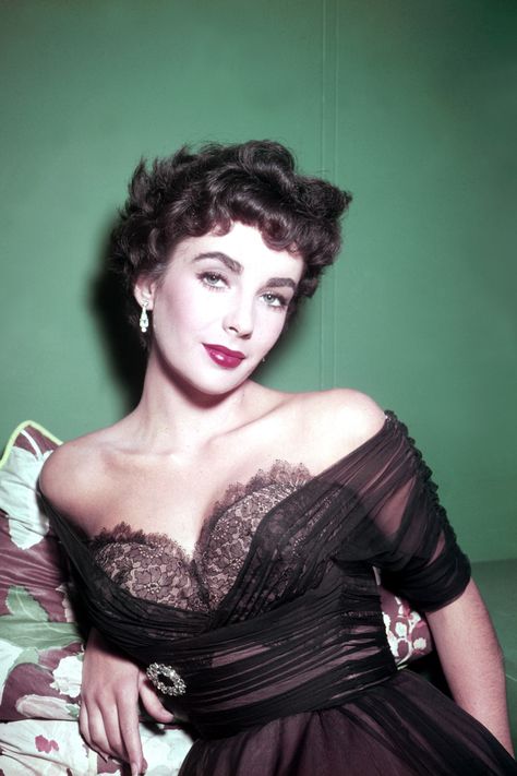 Elizabeth Taylor - 1955   - HarpersBAZAAR.com Stars D'hollywood, Ingrid Bergman, Katharine Hepburn, Lauren Bacall, Hollywood Icons, Actrices Hollywood, Sophia Loren, Hollywood Glam, Old Hollywood Glamour