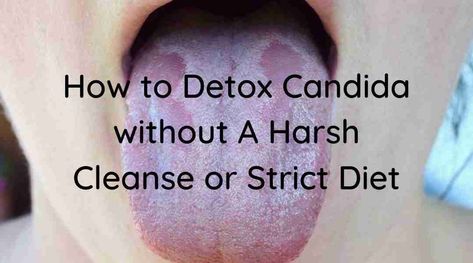 How to Detox Candida without A Harsh Cleanse or Strict Diet Candida Overgrowth Symptoms, Candida Symptoms, Candida Diet Recipes, Candida Cleanse, Candida Overgrowth, Candida Yeast, Cleanse Diet, Smoothie Cleanse, Candida Diet