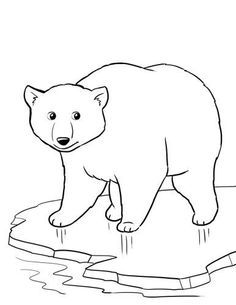 Check our 10 amazing polar bear coloring sheets here: Polar Bear Coloring Pages, Polar Bear Coloring Page, Polar Bear Color, Teddy Bear Coloring Pages, Zoo Animal Coloring Pages, Bear Template, Coloring Pages Winter, Baby Polar Bears, Polar Bear Christmas