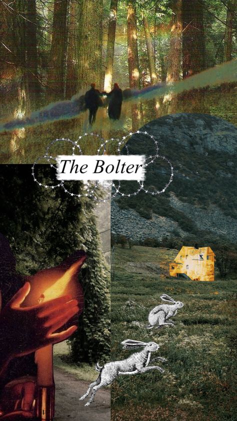 the bolter #taylorswift #torturtedpoetsdepartment Taylor Swift, Swift