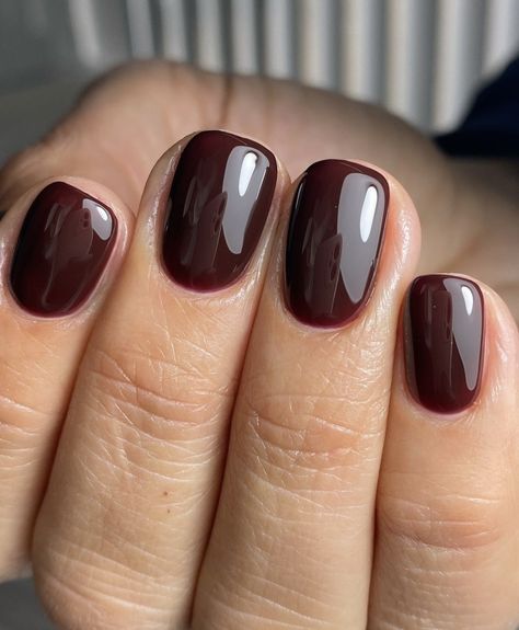 Low Maintenance Nail Ideas, Opi Fall Colors Dip, Cute Short Natural Nails Ideas Simple, Dark Brown Square Nails, Dark Brown Manicure, Cute Short Dip Nails Fall, Autumn Nails 2024 Short, Short Brown Fall Nails, Short Straight Nails