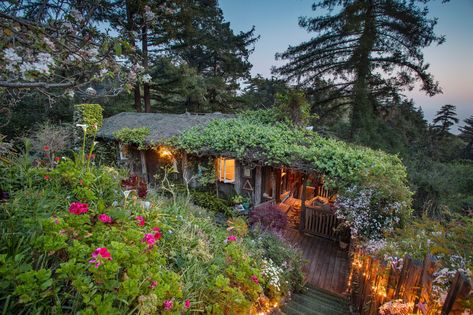 Rustic Log Cabin, Log Siding, Cabins For Sale, Highway 1, Big Sur California, Forest View, Secluded Beach, Outdoor Swing, Hot Tub Outdoor