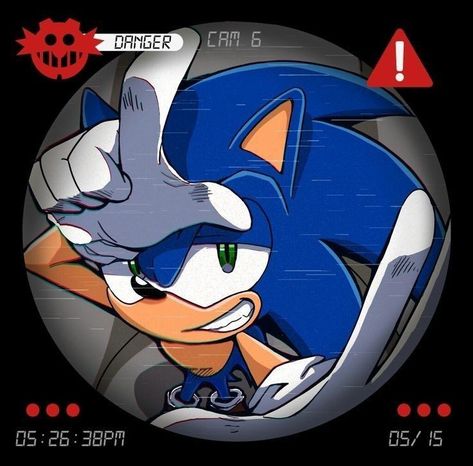 Shadow Sonic, Sonic Funny, Sonic 3, Blue Hedgehog, Sonic Franchise, Hedgehog Art, Sonic Adventure, Sonic And Shadow, Sonic Boom