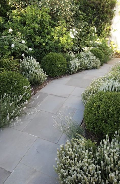 Gravel In Flower Beds, Rambler Curb Appeal, White House Landscaping, Formal Front Garden, French Landscaping, Formal Landscaping, Cottage Landscaping, Front Walkway Landscaping, Formal English