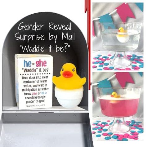 Rubber Duck Gender Reveal Fizzes by mail | Pregnancy Announcement | Gift Box includes Customized Message | for Out Of Town Family and Friends (Waddle It Be?) Duck Gender Reveal, Waddle It Be Gender Reveal, Creative Gender Reveals, Gender Reveal Unique, Gender Reveal Announcement, Pregnancy Gender, Gender Reveal Party Theme, What The Duck, Pregnancy Announcement Gifts