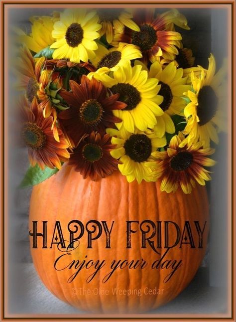 Happy Friday Gif, Happy Friday Pictures, Happy Tuesday Morning, Friday Morning Quotes, Happy Day Quotes, Good Morning Thursday, Good Morning Happy Friday, Good Morning Friday, Evening Greetings