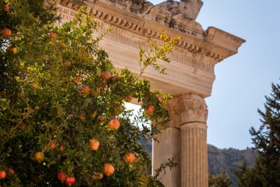 Ancient Rome Aesthetic, Greek Goddess, Ancient Rome, Ancient Greece, Pretty Places, White Aesthetic, Greek Mythology, Pomegranate, Aesthetic Pictures