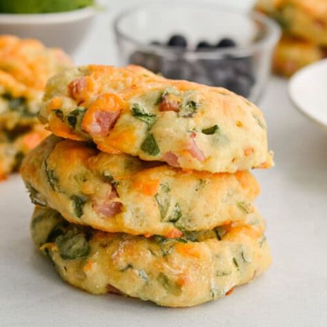 Breakfast Egg Biscuits, Gluten Free Protein Breakfast Ideas, Protein On The Go Breakfast, Clean Protein Breakfast, Lean Protein Breakfast, Nicole Addison Recipes, Savory Protein Breakfast, Healthy Breakfast Biscuit Recipes, Savory Breakfast Cookies